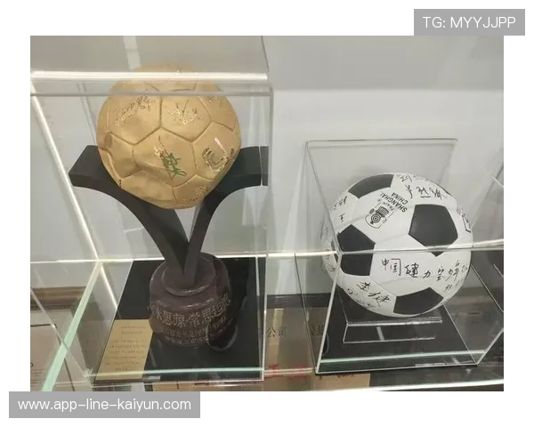 特色足球旅游资源深度融合，带动区域经济高速增长，足球特色园