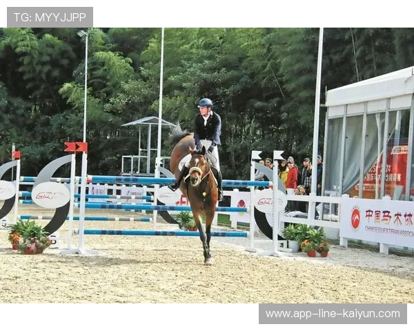 荷兰马术协会推出马术运动员职业发展规划，促进人才培养。，荷兰马术大师赛